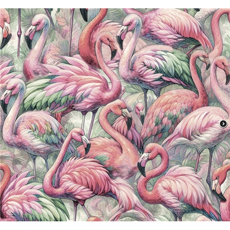 Flamingo fiesta